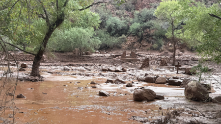Urgent search underway for more than 20 people after Grand Canyon flash flood Urgent search underway for more than 20 people after Grand Canyon flash flood