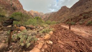 Deadly Grand Canyon flooding knocks out critical water line amid race to find missing hikers