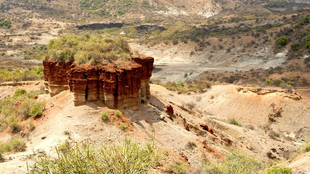 View of Olduvai Gorge, a site in northern Tanzania surrounded by desert