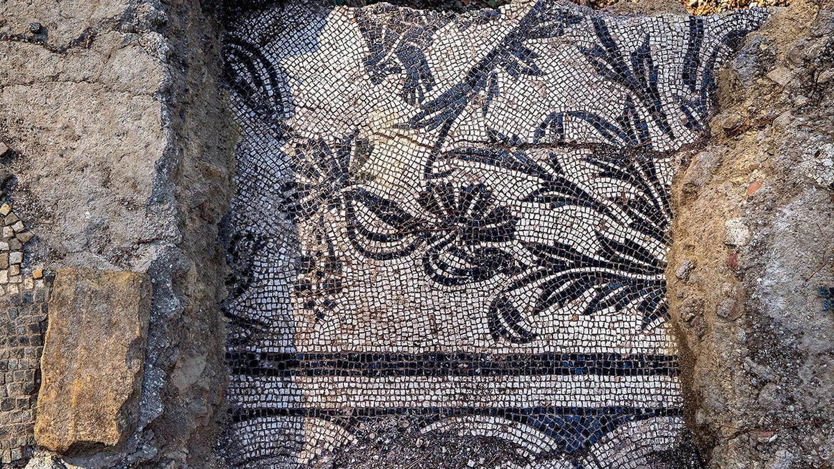 Aerial of intricate mosaic at ancient site