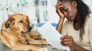 Most pet owners would go into debt for their pet — most can’t afford to Most pet owners would go into debt for their pet — most can’t afford to