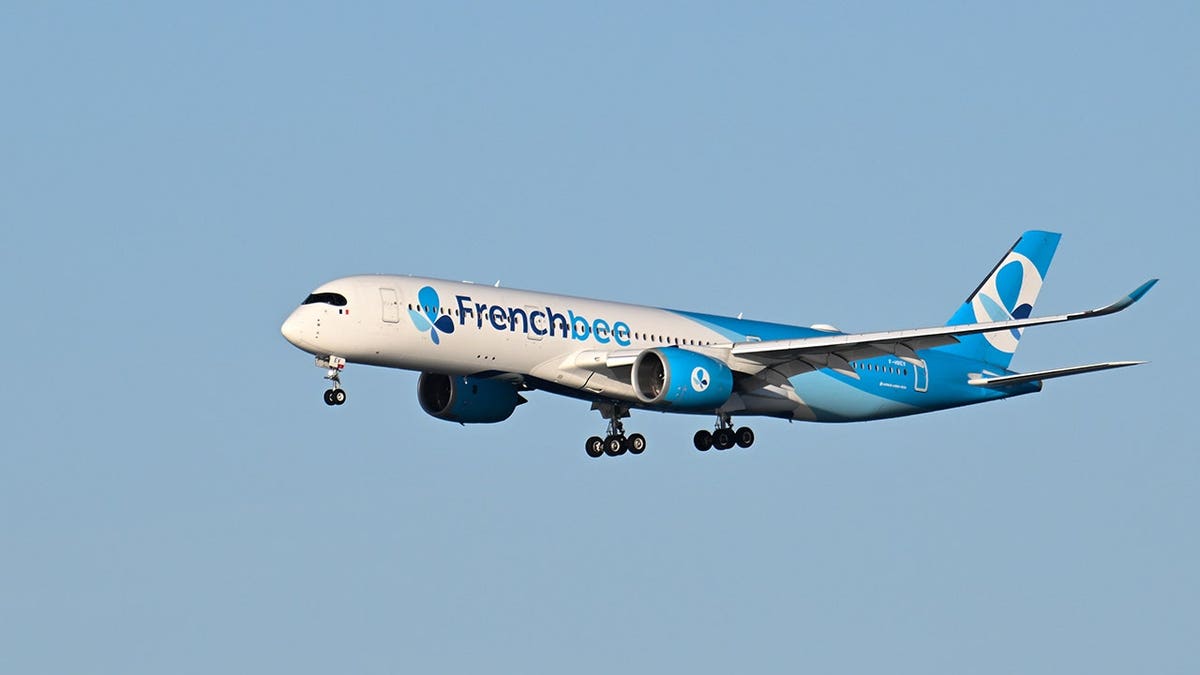 French bee flying in sky