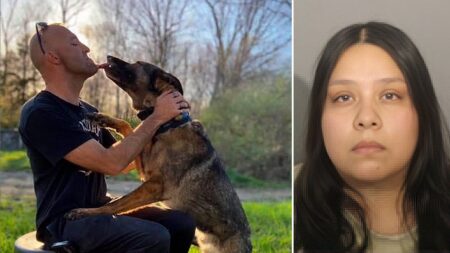 Illegal immigrant suspect charged in crash that killed police officer and his girlfriend