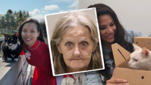 Florida mail carrier accused of snatching pets on route, trapping 100-plus cats and dogs in ‘hoarding’ house
