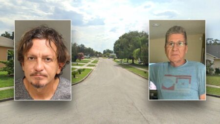 Florida man on probation allegedly kills and dismembers stepfather, stuffs body parts in suitcases