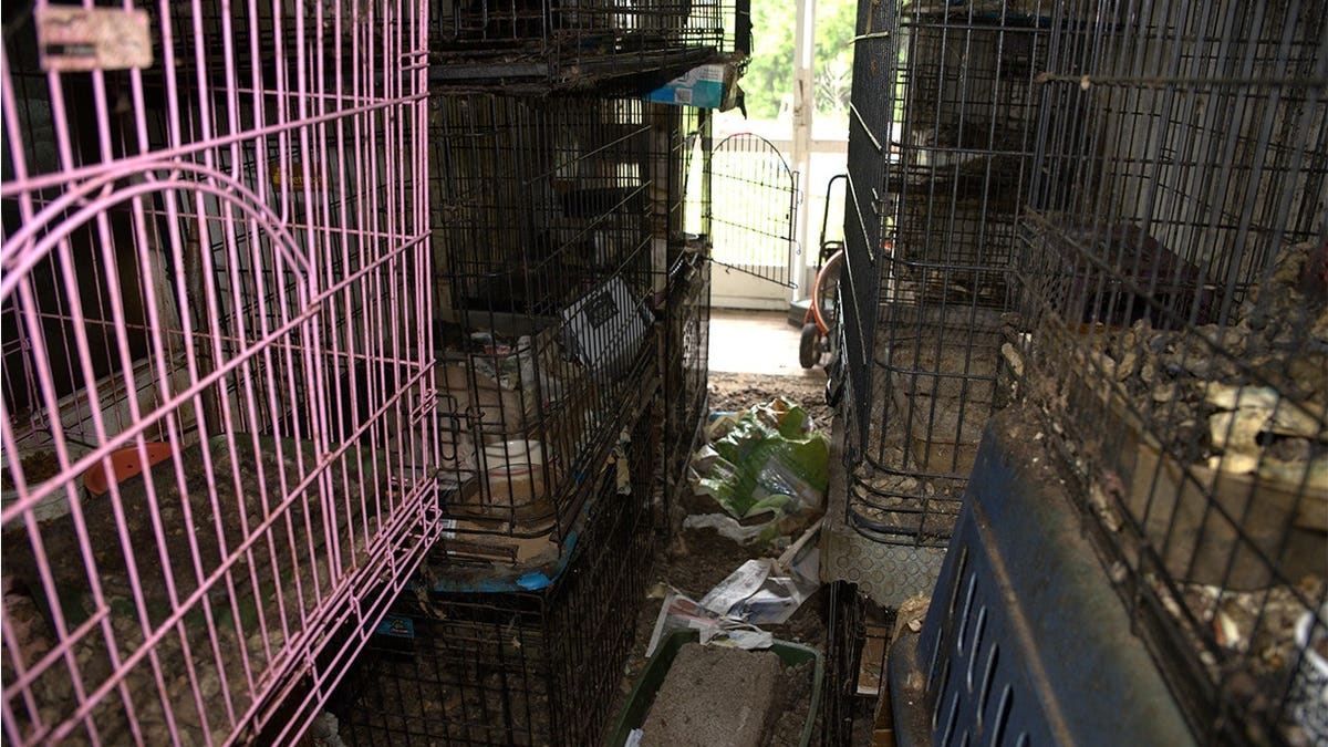 Florida mail carrier Gail Giustino's home