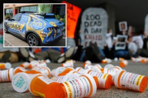 NJ towns ‘wasted’ .3M of opioid settlement on lavish purchases: ‘people are dying because of this’