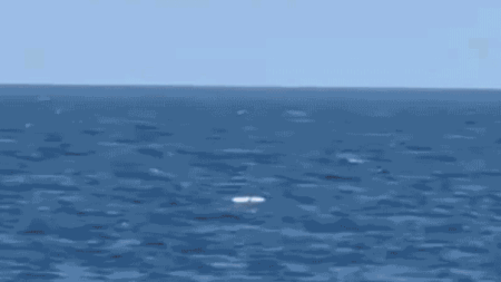 Ukraine pounds Black Sea Fleet’s ‘last major stronghold’ while Putin flexes naval power in Pacific Ukraine pounds Black Sea Fleet’s ‘last major stronghold’ while Putin flexes naval power in Pacific