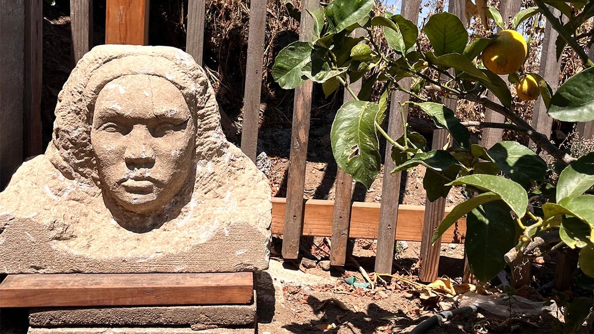 Shot of statue beneath plant in SF