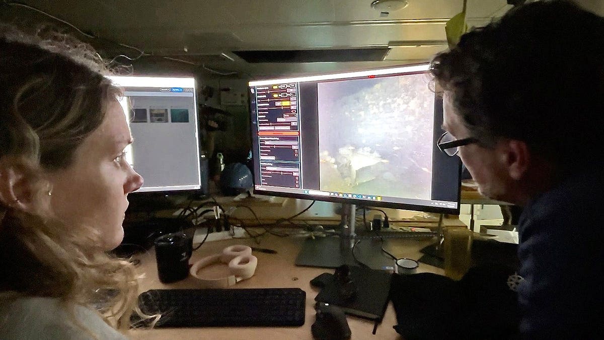 View of researchers analyzing picture of wreck