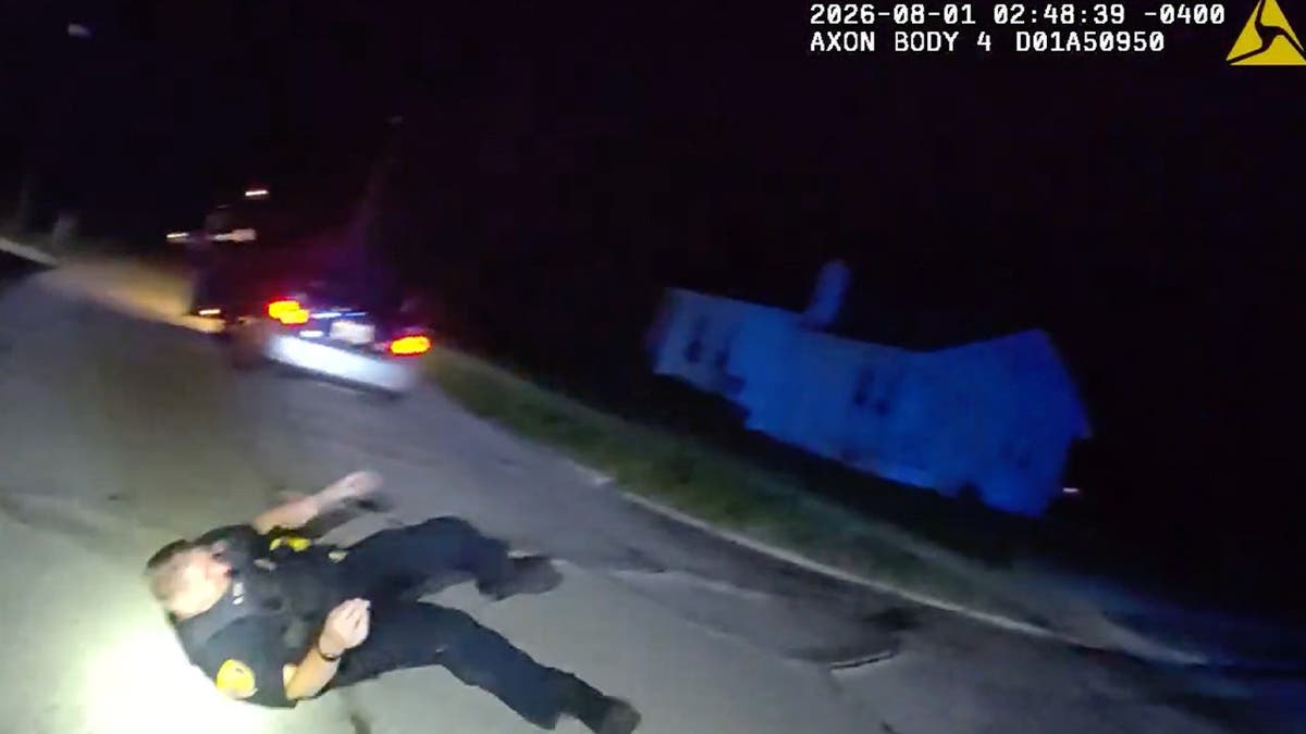 image shows officer on ground behind vehicle in roadway at night