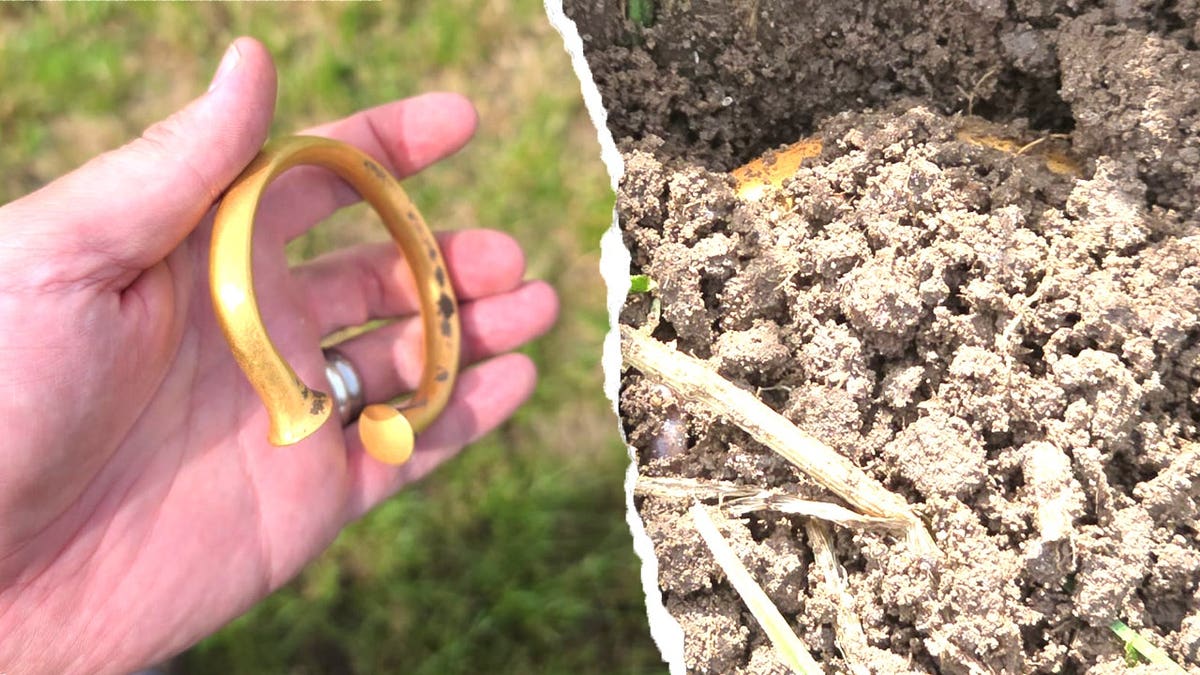 Split image of hand holding torc next to patch of dirt