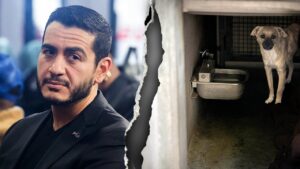El-Sayed in the hot seat after ‘sickening’ animal control record goes viral on social media El-Sayed in the hot seat after ‘sickening’ animal control record goes viral on social media