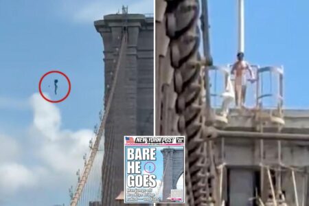 Naked nutjob who leaped from Brooklyn Bridge and miraculously survived identified