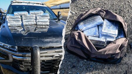 Routine California traffic stop leads to seizure of 30 pounds of cocaine worth more than 0K