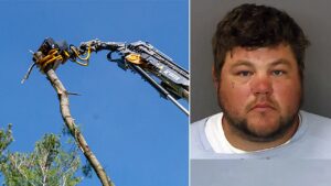 Minnesota tree trimmer charged in coworker’s death after on-the-job horseplay turns deadly