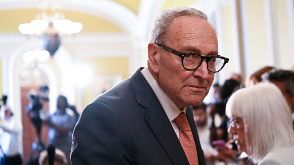 Primary takeaways: Dems’ left-center battle intensifies as Schumer takes another hit; split decision for Trump Primary takeaways: Dems’ left-center battle intensifies as Schumer takes another hit; split decision for Trump
