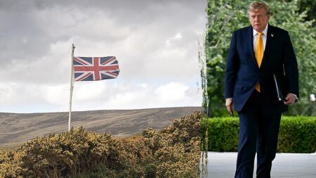 Ex-Pentagon official urges US to ‘squeeze’ UK on defense amid Falklands furor
