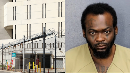 Florida man allegedly attacked sister with machete while she was sleeping next to toddler daughter
