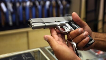 LA gun owners stuck waiting years for concealed carry permits score major DOJ victory