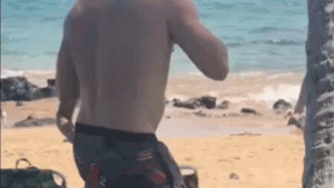 Hawaii Democratic House candidate faces felony threat charges after beach fight caught on video Hawaii Democratic House candidate faces felony threat charges after beach fight caught on video