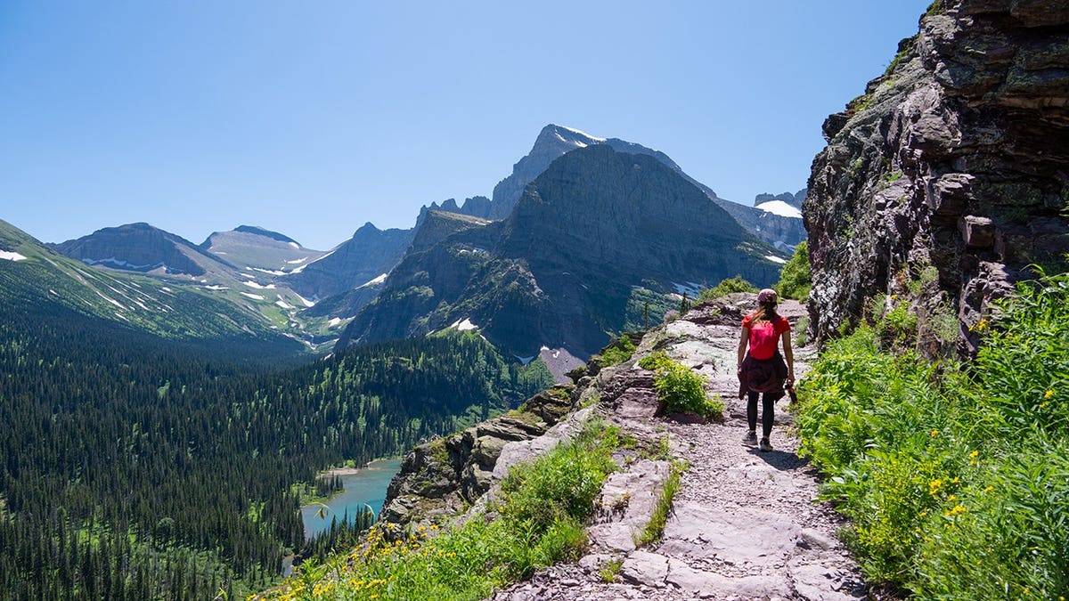 A hiker walks along a narrow mountain trail overlooking an alpine valley in Glacier National Park.