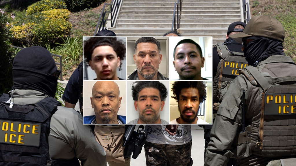 FIRST ON FOX: DHS points to ‘common sense’ reason for collapsing crime: ‘No surprise’ FIRST ON FOX: DHS points to ‘common sense’ reason for collapsing crime: ‘No surprise’