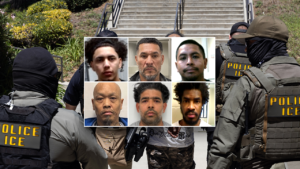 FIRST ON FOX: DHS points to ‘common sense’ reason for collapsing crime: ‘No surprise’ FIRST ON FOX: DHS points to ‘common sense’ reason for collapsing crime: ‘No surprise’