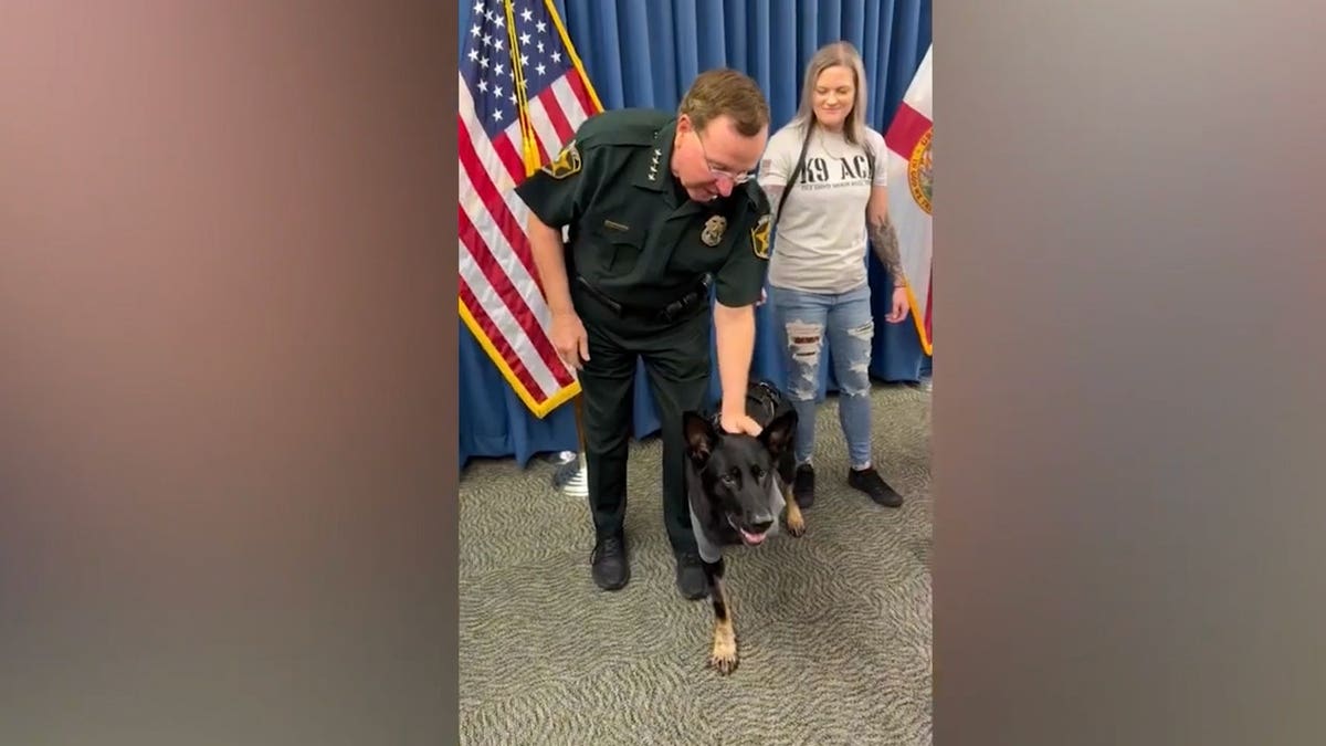 K-9 Ace