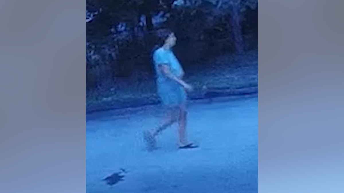 Surveillance image released by Worcester police showing Karen Solomon, who remains sought in an ongoing Massachusetts manhunt