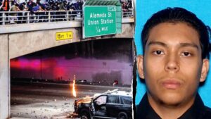 Illegal immigrant who helped torch CHP cruiser during LA anti-ICE riot learns his fate Illegal immigrant who helped torch CHP cruiser during LA anti-ICE riot learns his fate