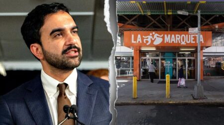 Grocers issue warning over Mamdani’s taxpayer-backed stores: ‘We’re going to go after’ them