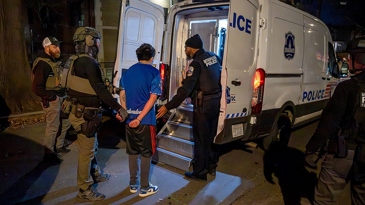Arrest behind police van