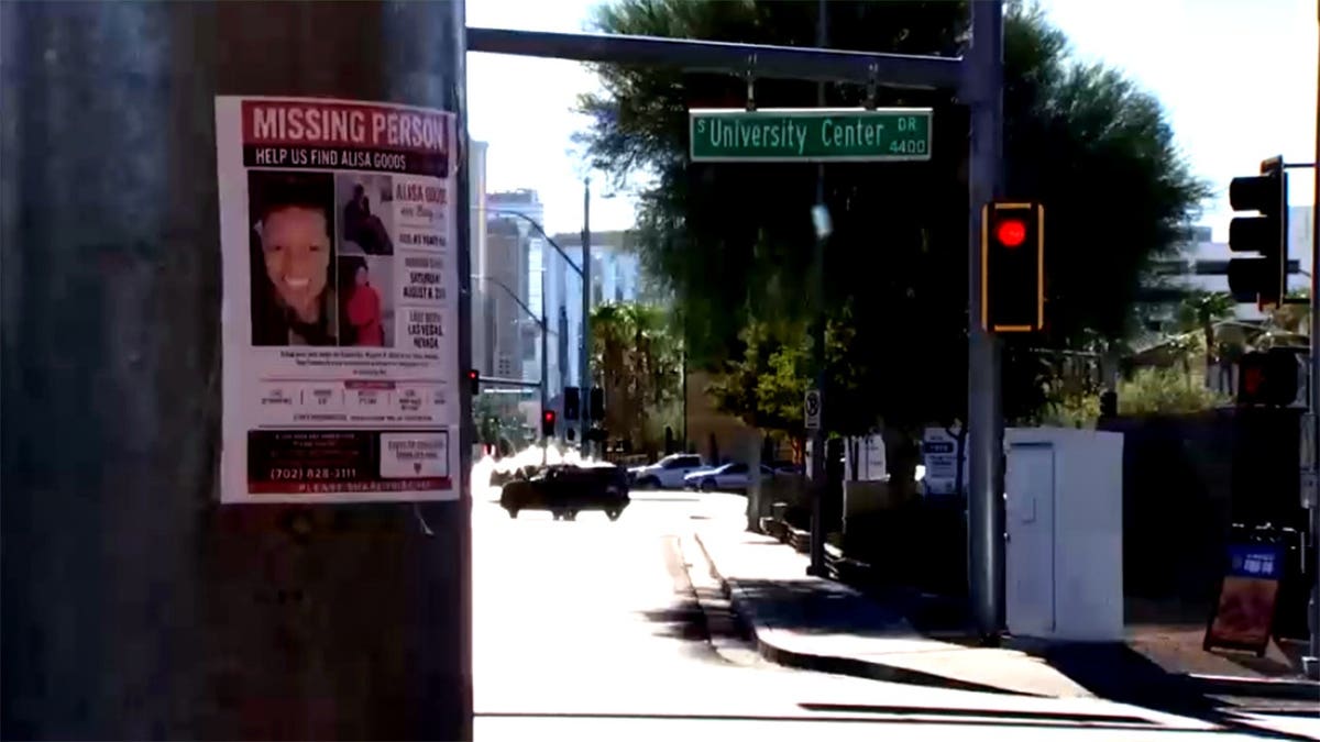 Alisa Goods missing persons flyer posted at intersection