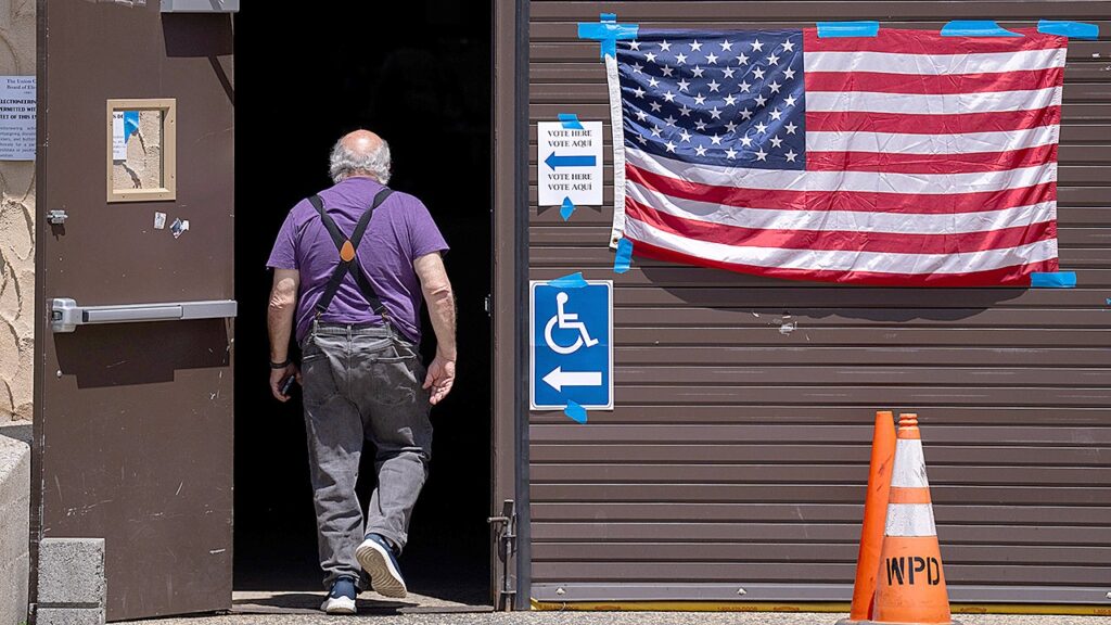 ‘Raw material for election fraud’: Expert flags voter-roll problems far beyond one state ‘Raw material for election fraud’: Expert flags voter-roll problems far beyond one state