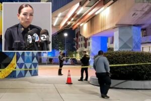 Chilling details released about ‘random’ mass stabbing rampage across California city — as police refuse to name suspect