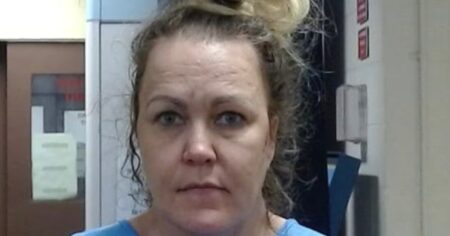 Former TV Anchor Pleads Guilty to Killing Mother, 80, Who Suffered Stab Wounds in Halloween Attack