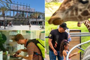 LA Zoo set for another price hike— as visitors vanish and crisis looms