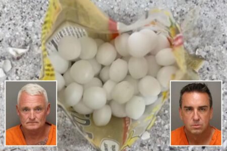 Florida business owners allegedly scattered 1,500 mothballs on beach to scare off endangered birds
