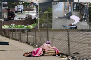 Exclusive | Almost half of NYC homeless deaths tied to drug overdoses or alcohol abuse: study