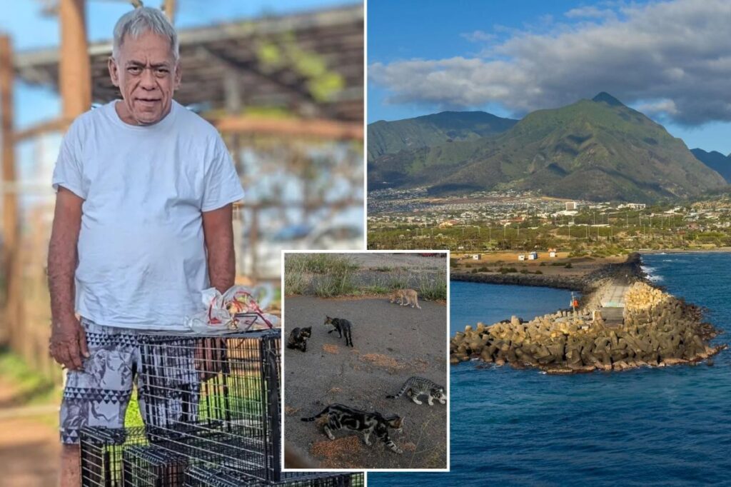 Beloved cat caretaker brutally beaten to death while feeding pets in Hawaii