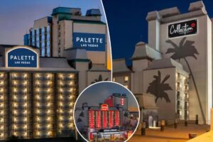 Las Vegas hotel with ‘human enthusiasm all over the walls’ accused of catfishing tourists Las Vegas hotel with ‘human enthusiasm all over the walls’ accused of catfishing tourists
