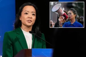 Socialist Wisconsin Dem Francesca Hong in hot seat after ‘Cancel Thanksgiving’ post emerges online
