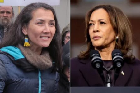 Alaska Democrat turns down support from Kamala Harris ahead of Senate primary 