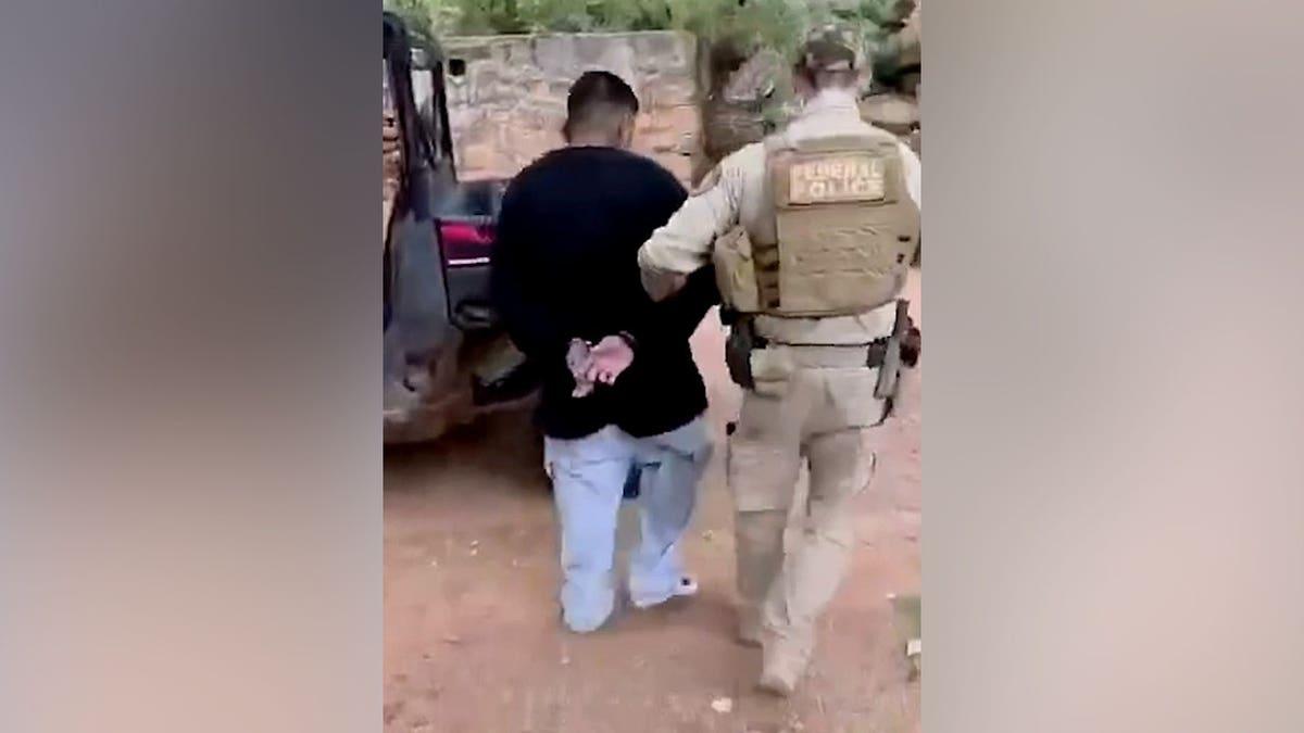 Federal police usher the neck-slashing suspect off after arresting him