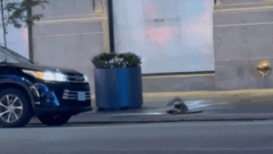 Mystery trio in headlamps and overalls emerges from Manhattan manhole, prompting NYPD probe Mystery trio in headlamps and overalls emerges from Manhattan manhole, prompting NYPD probe