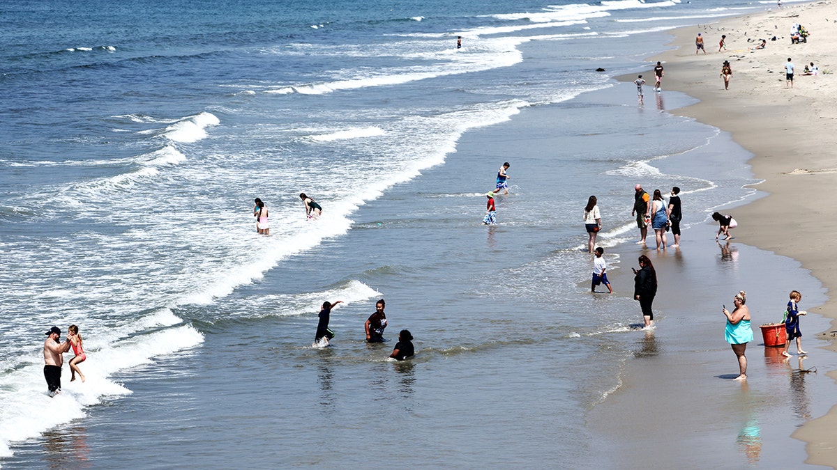 Crowd of people swimming and taking photos at the beach.