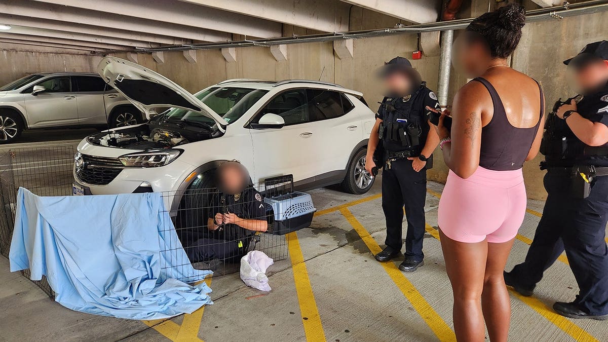Police offers respond to help rescue a cat under a car.