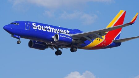 22-year-old passenger dies after sudden medical emergency strikes aboard Southwest flight to LA