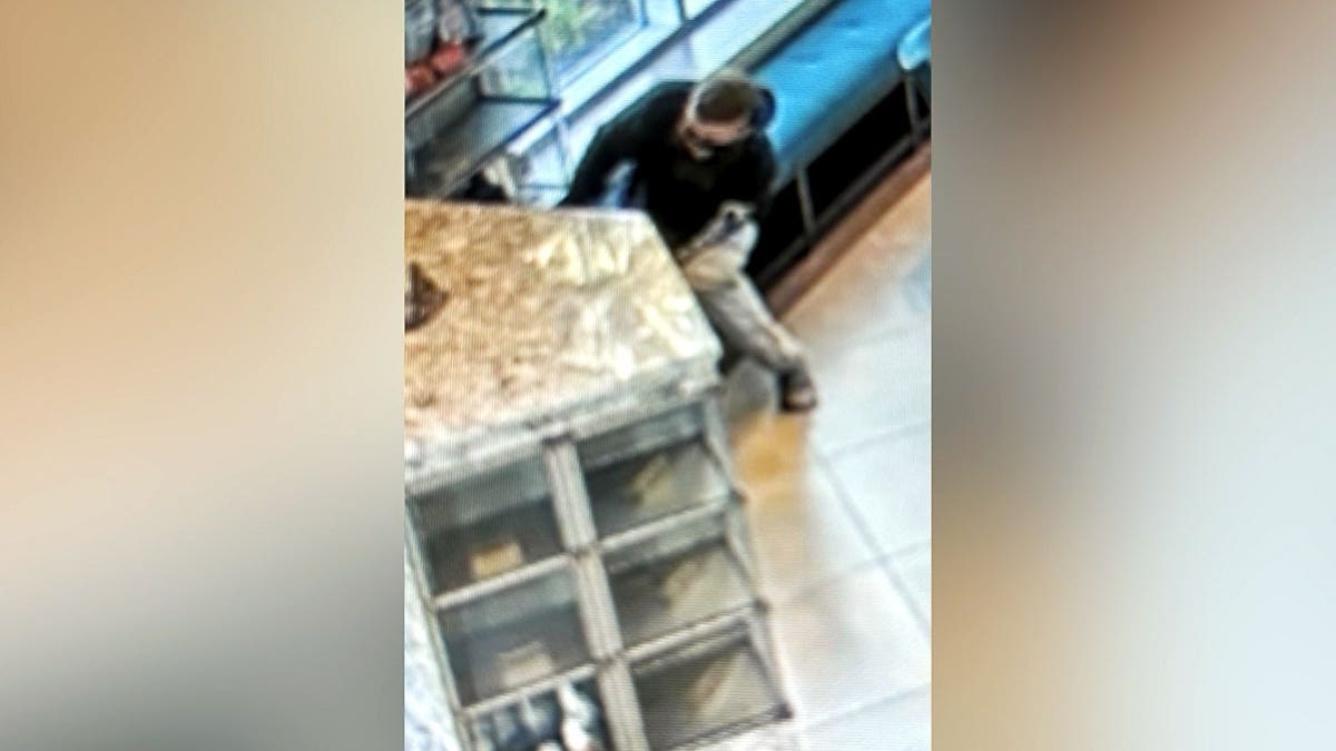 Surveillance footage shows a suspect robbing a mausoleum.